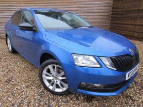 SKODA OCTAVIA 2019 (69) at Livery Dole Ltd Exeter