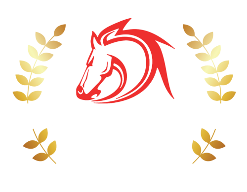 Livery Dole Ltd - Used cars in Exeter