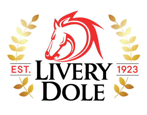 Livery Dole Ltd - Used cars in Exeter