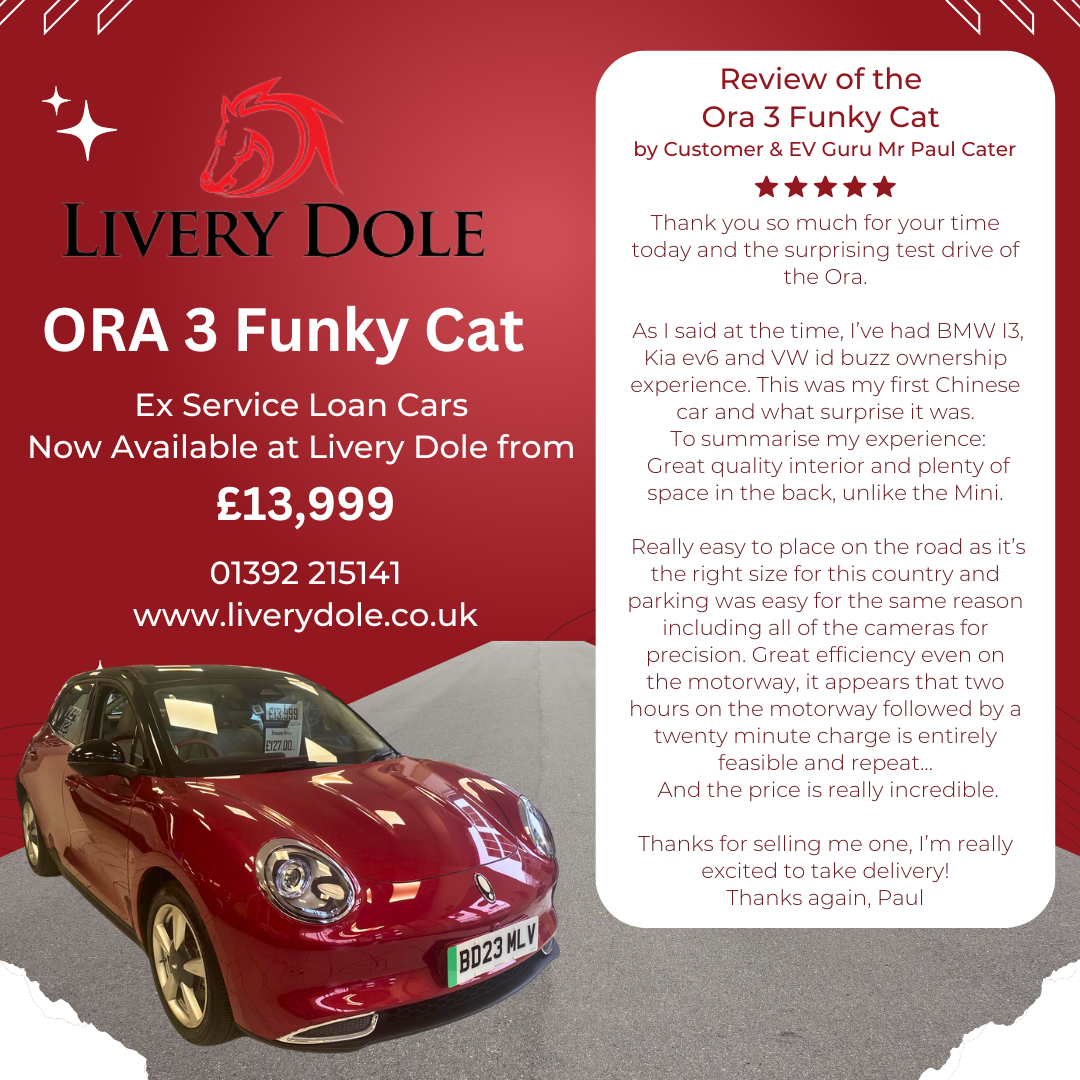 Ora 3 Funky Cat Review